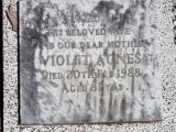 image of grave number 968415